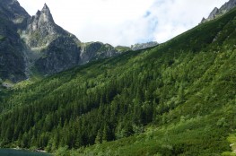 Mnich