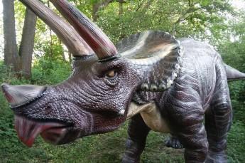 Ustroń Atrakcja Park tematyczny Park Dinozaurów